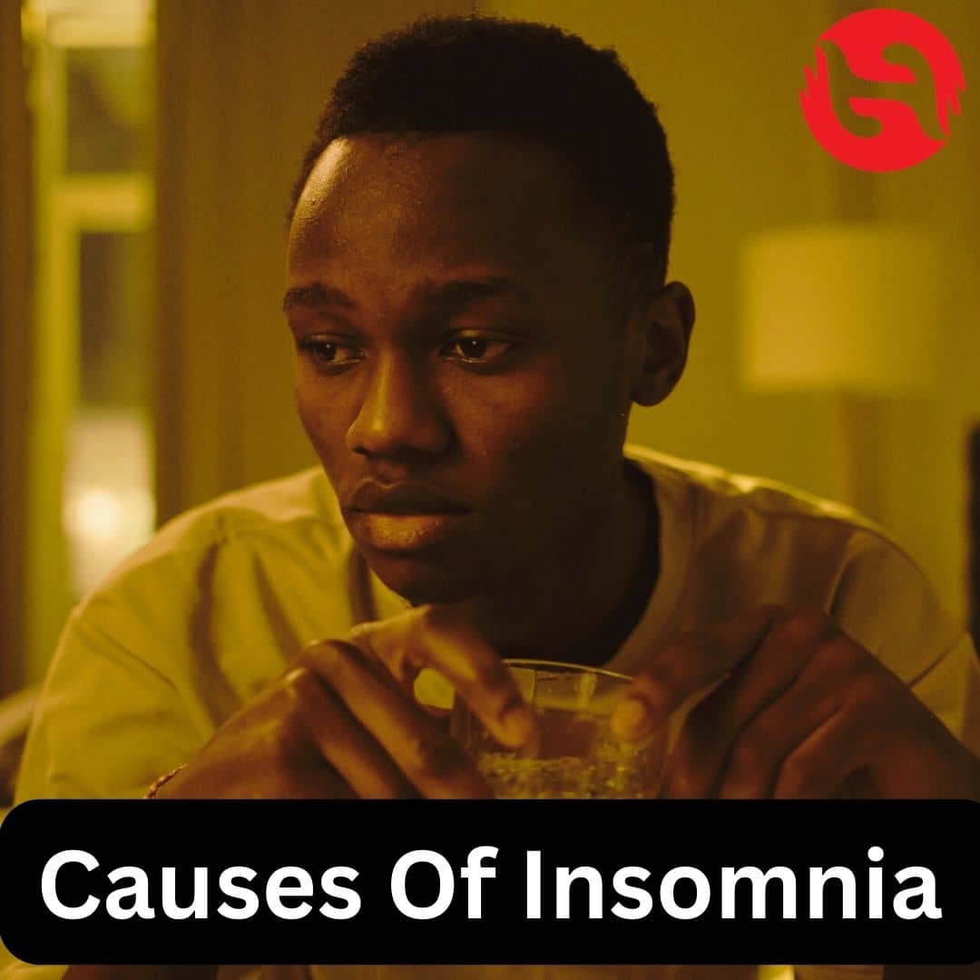 Causes Insomnia